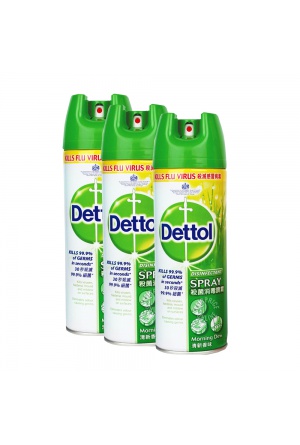 DETTOL DISINFECTANT SPRAY MRNG DEW